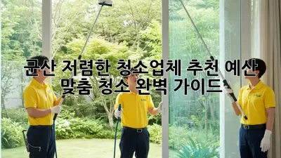 군산 저렴한 청소업체 추천: 예산 맞춤 청소 완벽 가이드