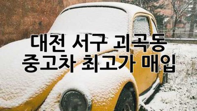 대전 서구 괴곡동 중고차 최고가 매입