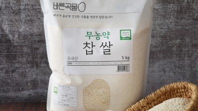 쫀득함에 반하다! 바른쌀찹쌀 솔직 후기 & 할인 꿀팁 ✨
