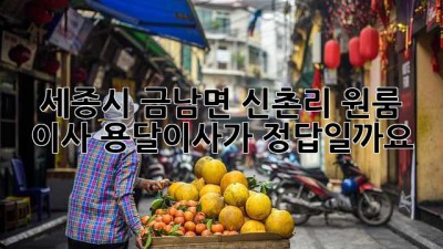 세종시 금남면 신촌리 원룸 이사, 용달이사가 정답일까요?